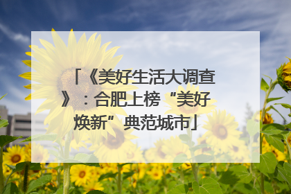 《美好生活大调查》：合肥上榜“美好焕新”典范城市