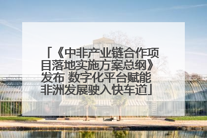 《中非产业链合作项目落地实施方案总纲》发布 数字化平台赋能非洲发展驶入快车道