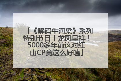 《解码牛河梁》系列特别节目丨龙凤呈祥！5000多年前这对红山CP竟这么好嗑
