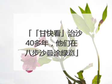「甘快看」治沙40多年，他们在八步沙叠涂绿意