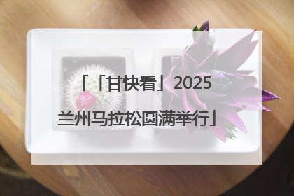 「甘快看」2025兰州马拉松圆满举行