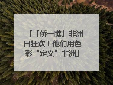 「侨一瞧」非洲日狂欢！他们用色彩“定义”非洲