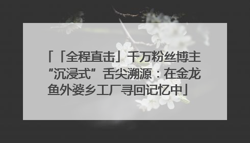 「全程直击」千万粉丝博主“沉浸式”舌尖溯源：在金龙鱼外婆乡工厂寻回记忆中