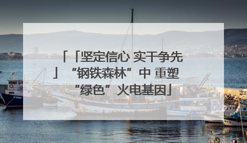 「坚定信心 实干争先」“钢铁森林”中 重塑“绿色”火电基因