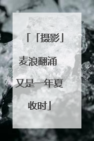 「摄影」麦浪翻涌 又是一年夏收时