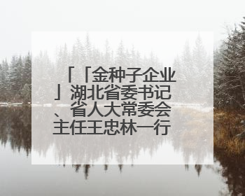 「金种子企业」湖北省委书记、省人大常委会主任王忠林一行到依瑞德调研