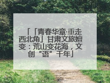 「青春华章·重走西北角」甘肃文旅嬗变：荒山变花海，文创“语”千年