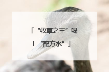 “牧草之王”喝上“配方水”