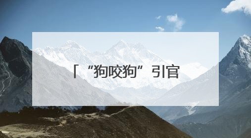 “狗咬狗”引官司，狗主人屡次不牵狗绳担全责