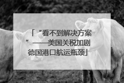 “看不到解决方案”——美国关税加剧德国港口航运瓶颈