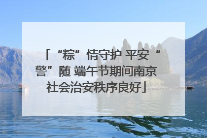 “粽”情守护 平安“警”随 端午节期间南京社会治安秩序良好