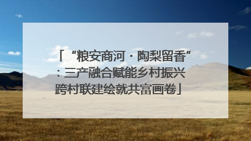 “粮安商河・陶梨留香”：三产融合赋能乡村振兴 跨村联建绘就共富画卷