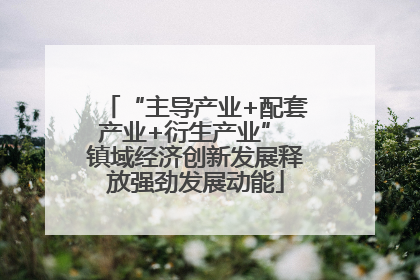 “主导产业+配套产业+衍生产业” 镇域经济创新发展释放强劲发展动能