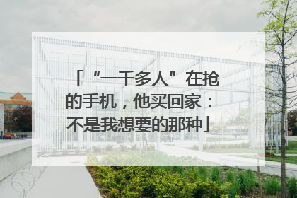 “一千多人”在抢的手机，他买回家：不是我想要的那种