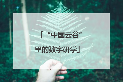 “中国云谷”里的数字研学