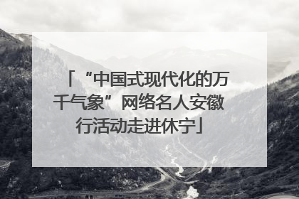 “中国式现代化的万千气象”网络名人安徽行活动走进休宁