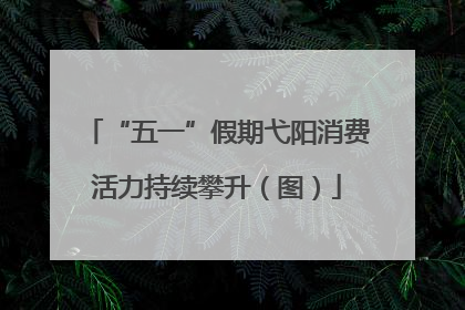 “五一”假期弋阳消费活力持续攀升（图）