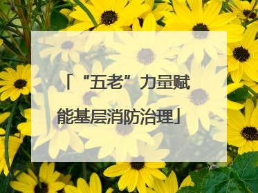 “五老”力量赋能基层消防治理