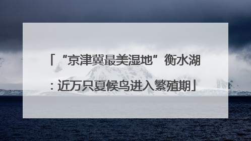 “京津冀最美湿地”衡水湖：近万只夏候鸟进入繁殖期