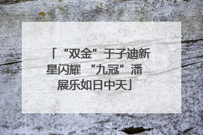 “双金”于子迪新星闪耀 “九冠”潘展乐如日中天