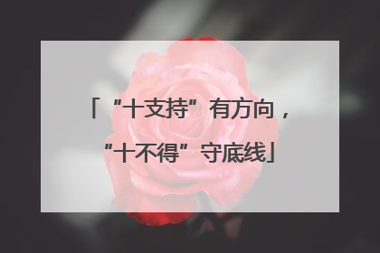 “十支持”有方向，“十不得”守底线