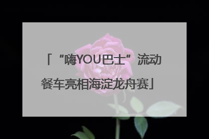 “嗨YOU巴士”流动餐车亮相海淀龙舟赛