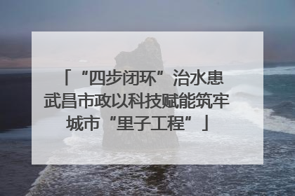 “四步闭环”治水患 武昌市政以科技赋能筑牢城市“里子工程”