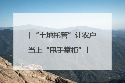 “土地托管”让农户当上“甩手掌柜”