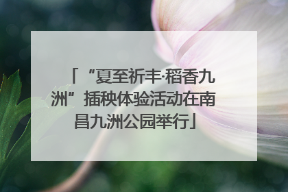 “夏至祈丰·稻香九洲”插秧体验活动在南昌九洲公园举行
