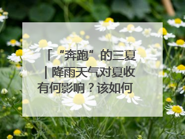 “奔跑”的三夏｜降雨天气对夏收有何影响？该如何防范？一文了解