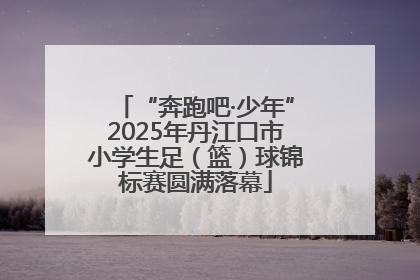 “奔跑吧·少年”2025年丹江口市小学生足（篮）球锦标赛圆满落幕