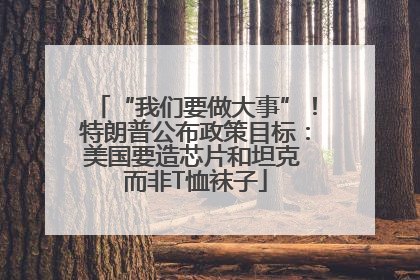 “我们要做大事”！特朗普公布政策目标：美国要造芯片和坦克 而非T恤袜子