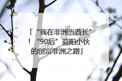 “我在非洲当酋长”！“90后”益阳小伙的创富非洲之路
