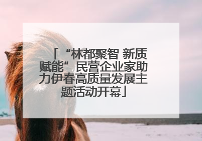 “林都聚智 新质赋能”民营企业家助力伊春高质量发展主题活动开幕
