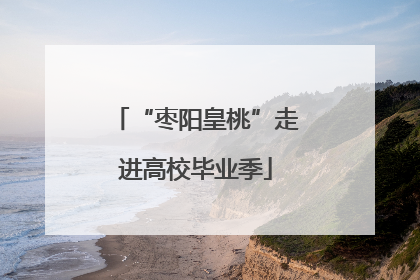 “枣阳皇桃”走进高校毕业季