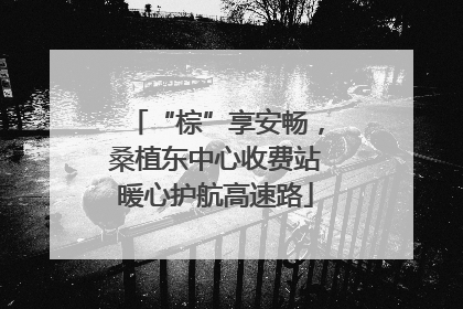 “棕”享安畅，桑植东中心收费站暖心护航高速路