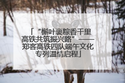 “槲叶裹粽香千里 高铁共筑振兴路”——郑客高铁四队端午文化专列温情启程