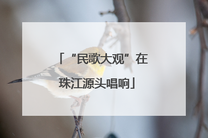 “民歌大观”在珠江源头唱响