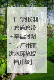 “河长制+碧道碧带+幸福河湖”，广州推进水环境提档升级