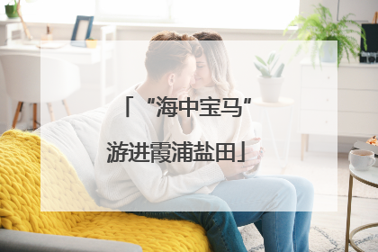 “海中宝马”游进霞浦盐田