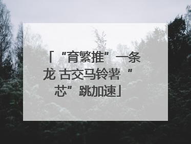 “育繁推”一条龙 古交马铃薯“芯”跳加速