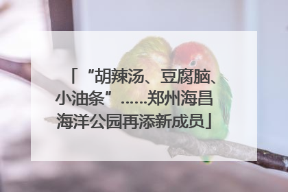 “胡辣汤、豆腐脑、小油条”……郑州海昌海洋公园再添新成员