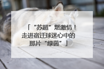 “苏超”燃激情！走进宿迁球迷心中的那片“绿茵”