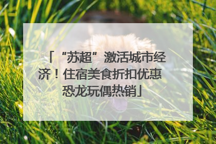 “苏超”激活城市经济！住宿美食折扣优惠 恐龙玩偶热销