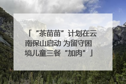 “茶苗苗”计划在云南保山启动 为留守困境儿童三餐“加肉”
