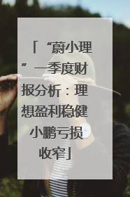 “蔚小理”一季度财报分析：理想盈利稳健 小鹏亏损收窄