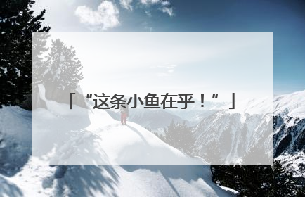 “这条小鱼在乎！”