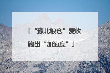“豫北粮仓”麦收跑出“加速度”