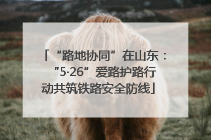 “路地协同”在山东：“5·26”爱路护路行动共筑铁路安全防线