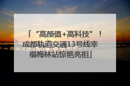 “高颜值+高科技”！成都轨道交通13号线幸福梅林站惊艳亮相